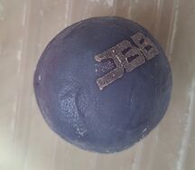 Моти Малина