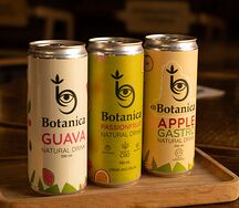 Натуральные лимонады Botanica