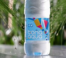 БонАква негазированная