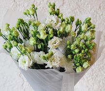 Монобукет 15 эустом 