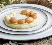 Гребешки с пюре и трюфельным соусом