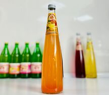 Родники Полесья Манго