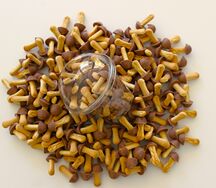 Сладкие грибочки