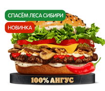 Острый Ангус Сибирский