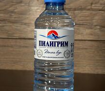 Вода Пилигрим негазированная