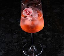 Rose-Jasmine Spritz