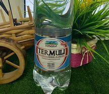 Природная минеральная газированная вода Termuli