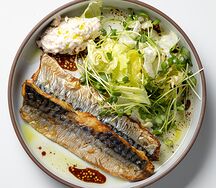 Скумбрия с риетом из креветки