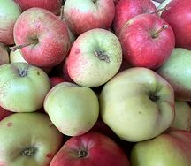 Новый урожай яблок из Узбекистана