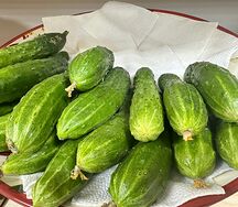 Огурцы Зазуля