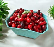 Кизил