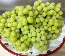 Виноград Кишмиш белый