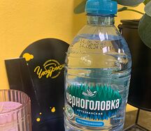 Вода Черноголовка артезианская негазированная
