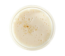 Соус Гамадари