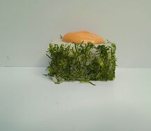 Ролл Спайси