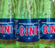 Бжни