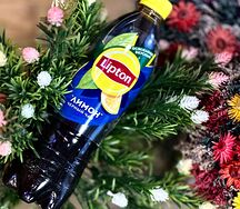 Липтон