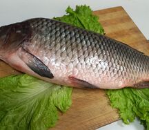 Сазан целый