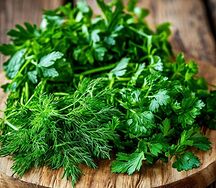 Букет из свежей зелени 