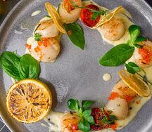 Морской гребешок под сливочным соусом