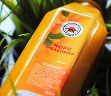Морс облепиховый