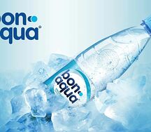 Bon Aqua негазированная