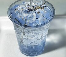 Фирменный лавандовый лимонад