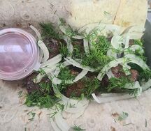 Шашлык из говяжьей печени