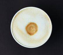 Латте M