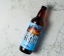 Brainstorm 0%