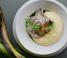 Строганов из говядины с картофельным пюре