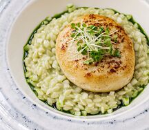 Котлета из судака с огуречным орзо