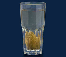 Компот из фейхоа