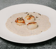 Морской гребешок