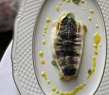 Белокровка Арктик