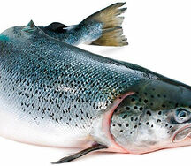 Форель замороженная 1 штука