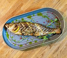 Сибас по-мароккански