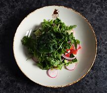 Салат из свежих овощей