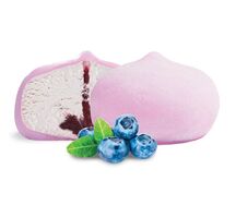 Моти Лесная черника