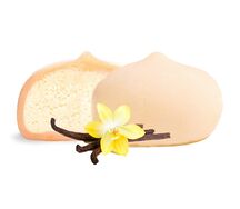 Моти Ваниль