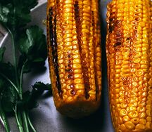 Кукуруза