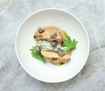 Стейк из цыпленка с рисом жасмин и сморчками