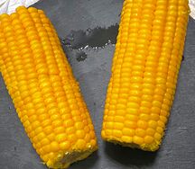 Кукуруза 