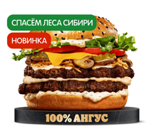 Ангус Сибирский Двойной