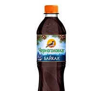 Черноголовка Байкал