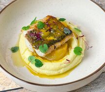 Черная треска с фенхелем и ванильным пюре