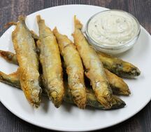 Мойва атлантическая