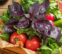 Ассорти сезонных овощей и зелени