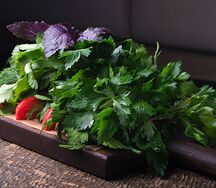 Свежие овощи и зелень