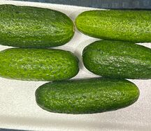 Отборные огурцы луховицкие